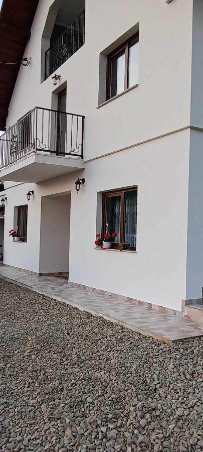 Casuta Din Livada Villa Moisei Exterior photo