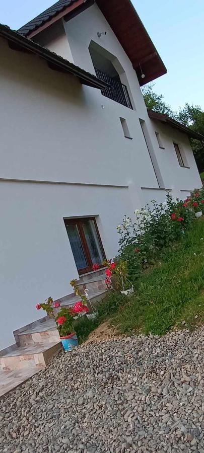 Casuta Din Livada Villa Moisei Exterior photo