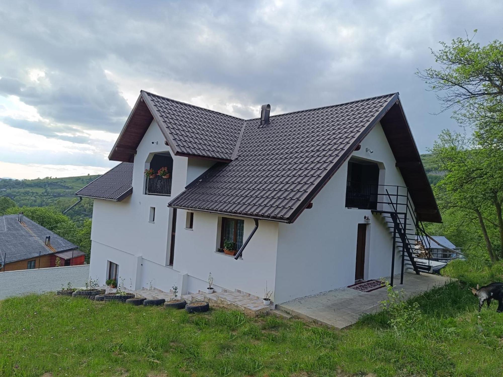 Casuta Din Livada Villa Moisei Exterior photo