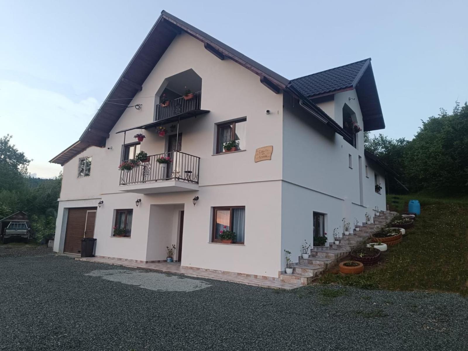 Casuta Din Livada Villa Moisei Exterior photo